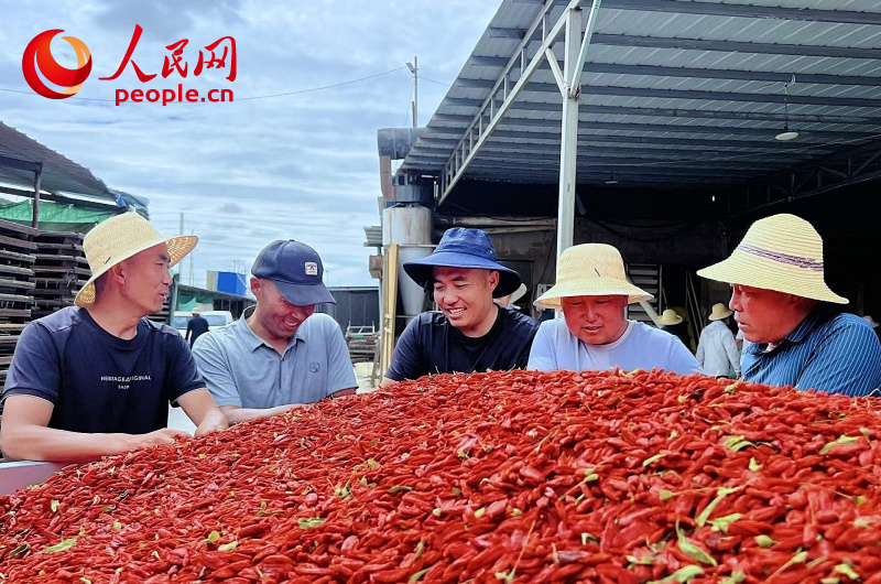 数云数电数青山(图5)