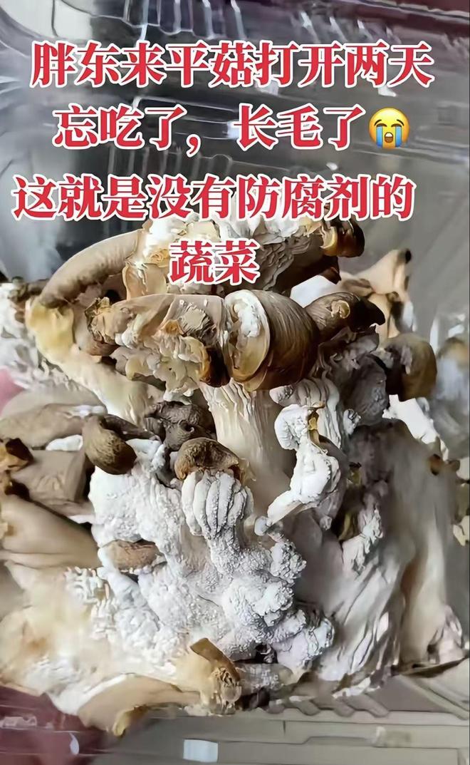胖东来买的平菇两天后长毛网友却夸没有防腐剂品质高(图1)