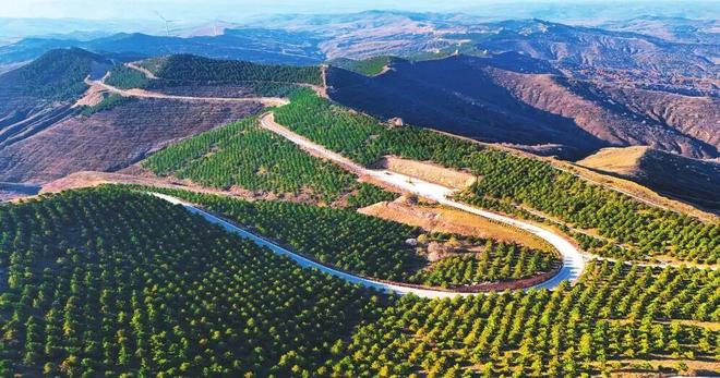 “三绿”成金:偏关实践(图1)