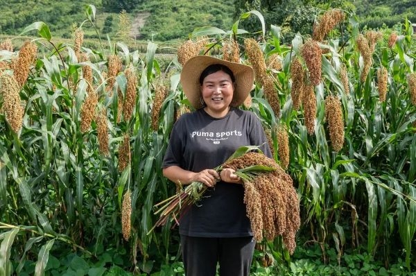一滴酒的“质量长征”(图1)