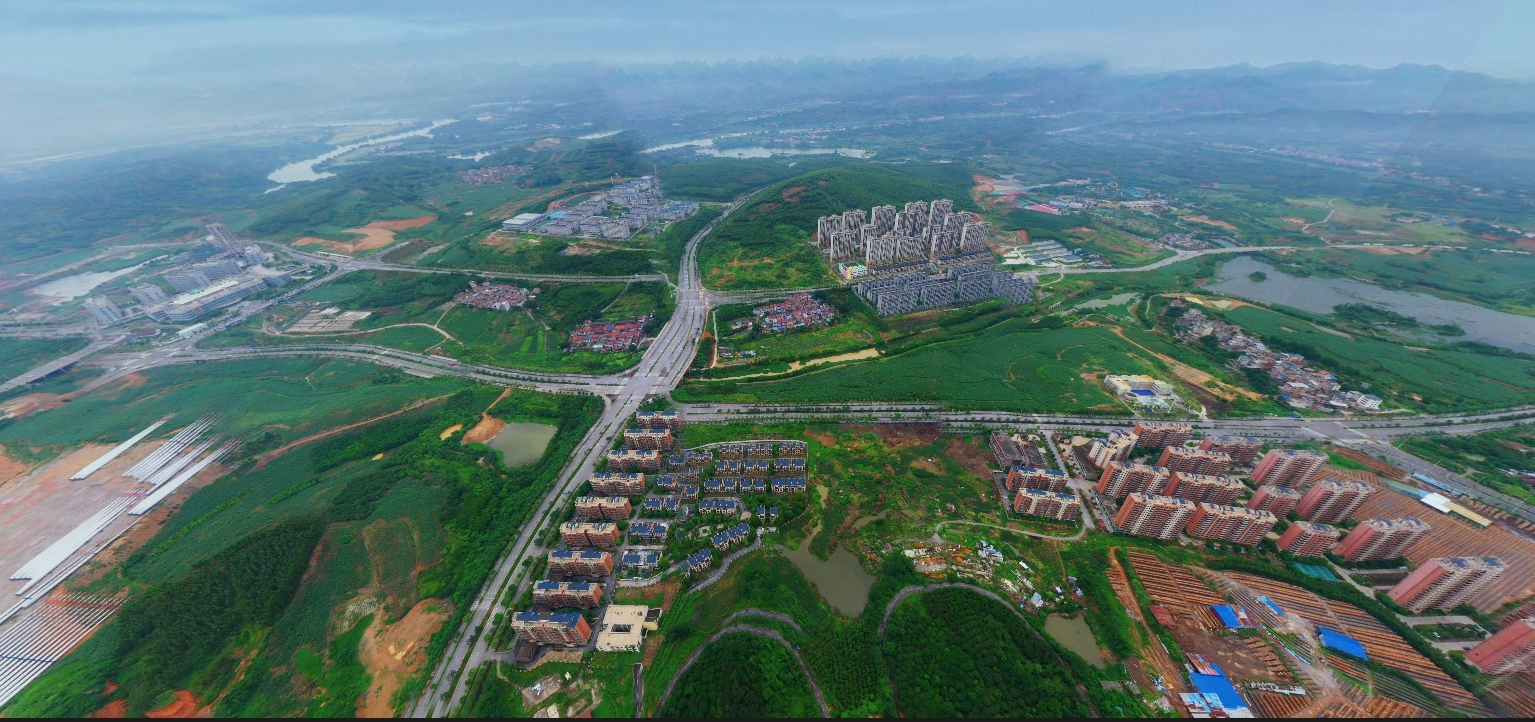 一颗柚子串起百色农业全链图景(图1)