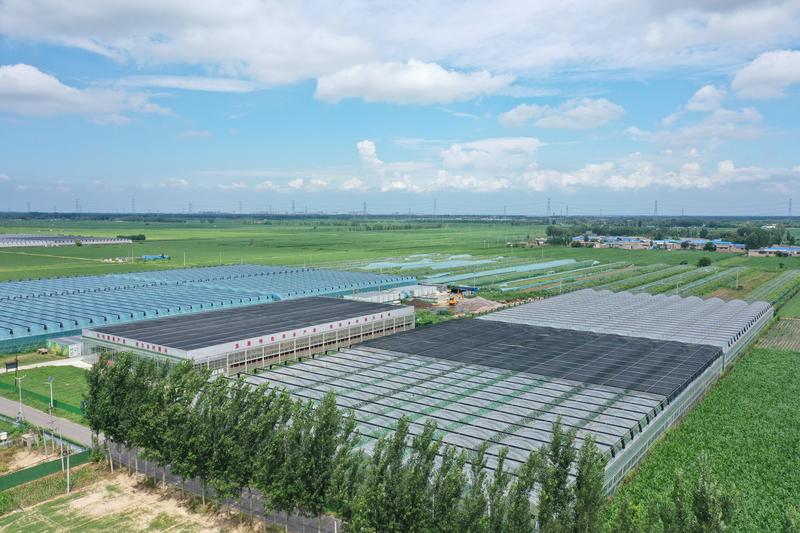 筑牢“三农”压舱石夯实推进中国式现代化根基(图1)