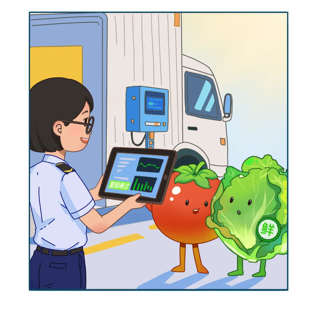 一棵恩施蔬菜24小时狂飙1251公里(图1)