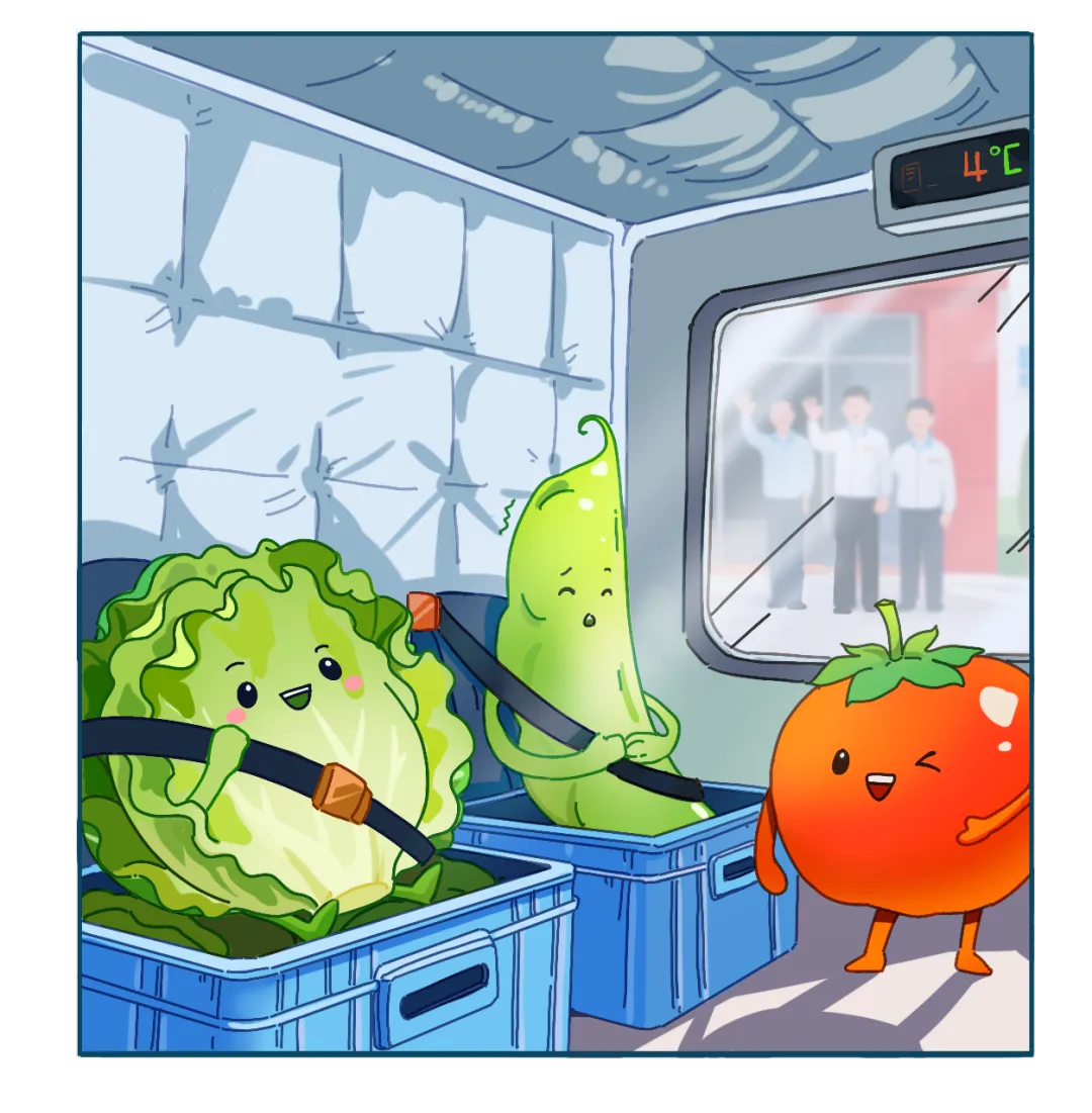 一棵恩施蔬菜24小时狂飙1251公里(图2)