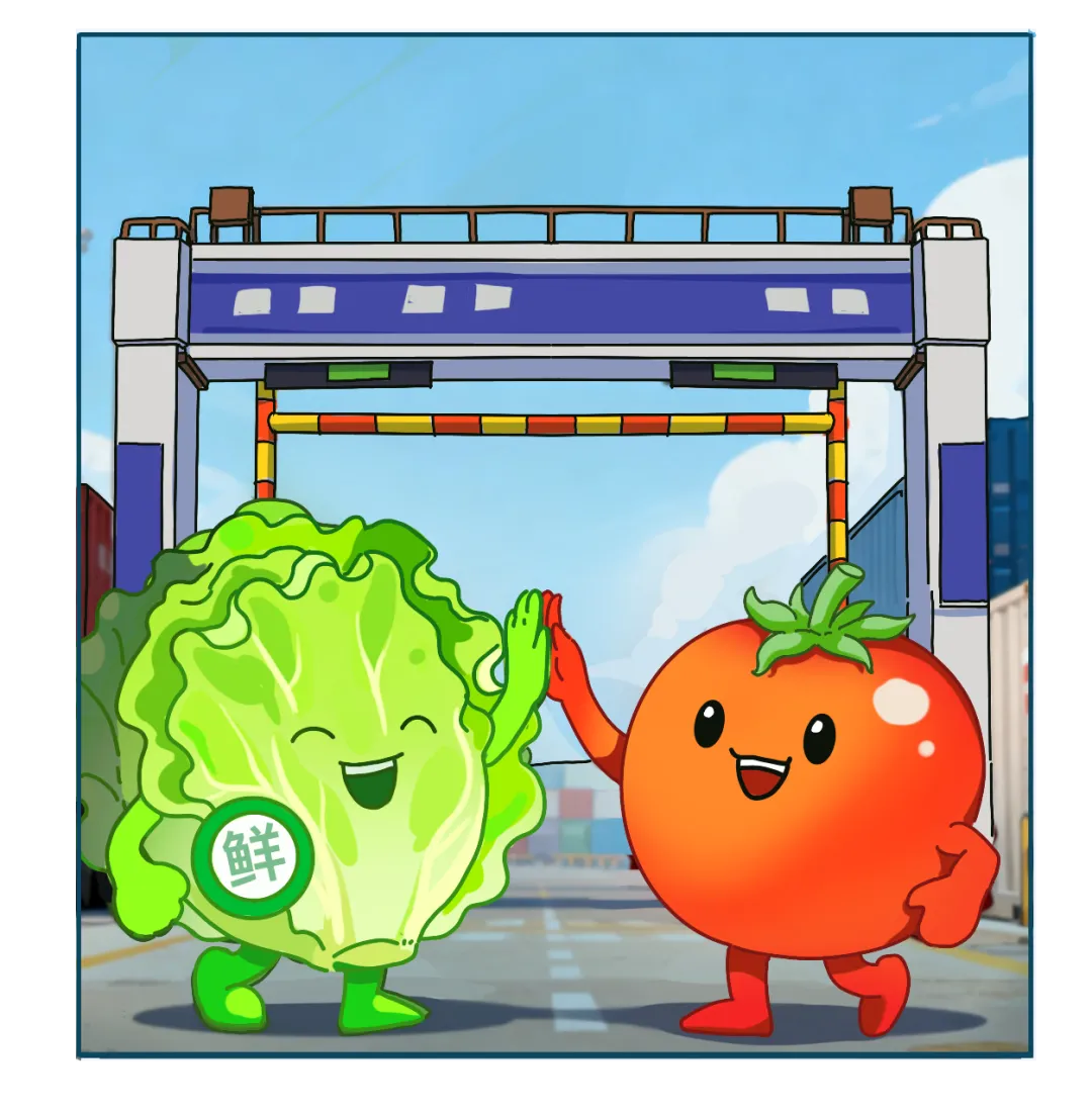 一棵恩施蔬菜24小时狂飙1251公里(图5)