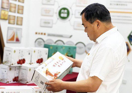 强农先锋丨崔玉禄：崔岭西村“蔬”写传奇(图3)