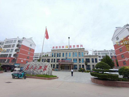 强农先锋丨崔玉禄：崔岭西村“蔬”写传奇(图5)