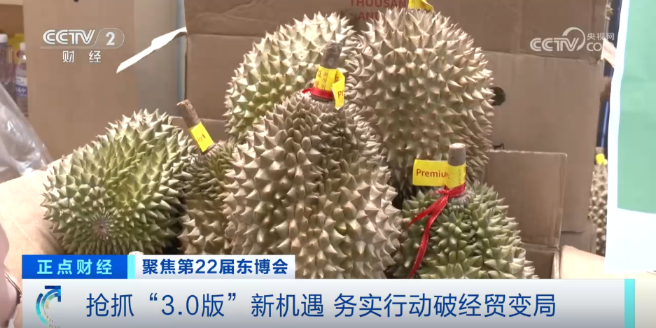 抢抓“30版”新机遇中国—东盟为世界经贸注入更多确定性(图4)