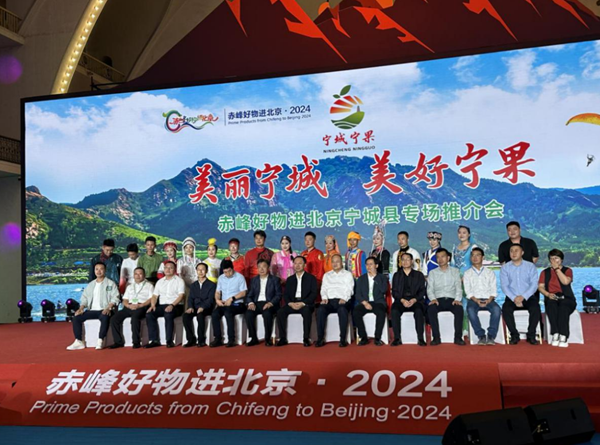 京蒙协作：发挥北京三大优势打造蔬菜特色产业(图3)