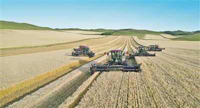 沃野筑“粮仓”年丰好风光(图2)