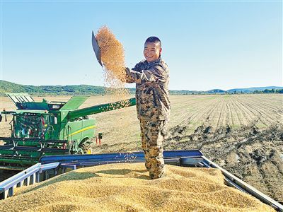 沃野筑“粮仓”年丰好风光(图1)