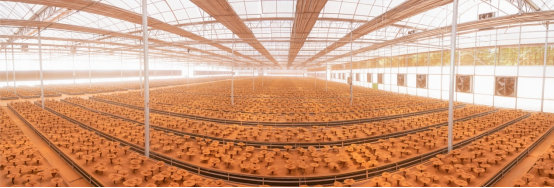 寿仙谷以“科技+标准”打破世界对中医药的“认知壁垒”(图2)