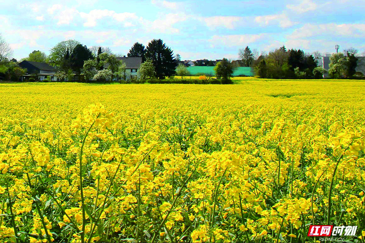 绿色印记岁月沉香丨匠心长康：绿色的坚守与腾飞(图3)
