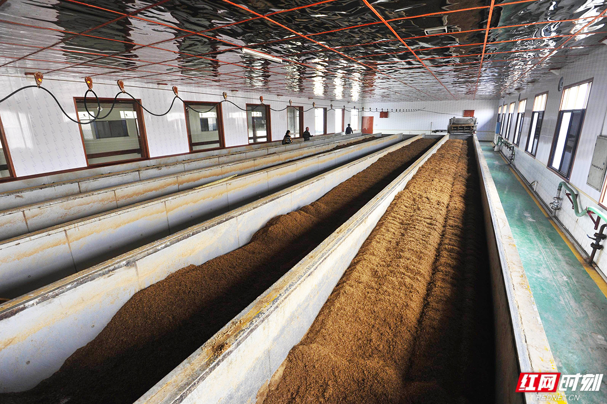 绿色印记岁月沉香丨匠心长康：绿色的坚守与腾飞(图4)