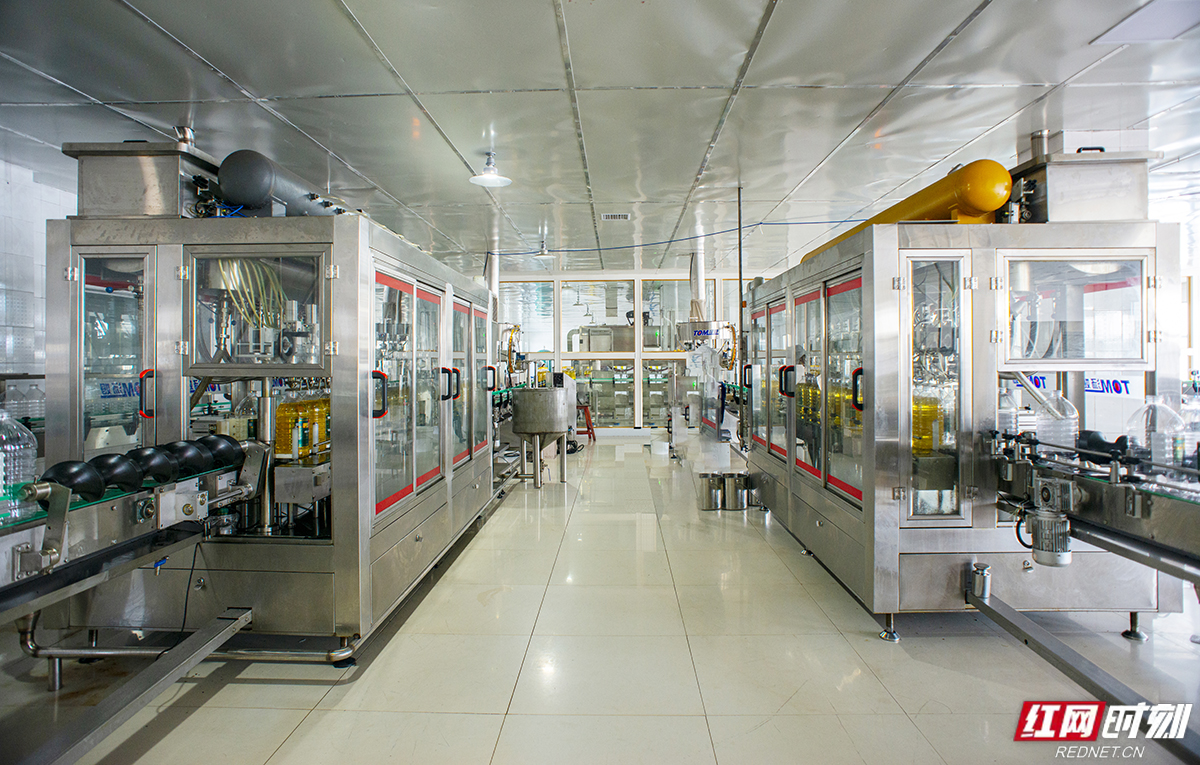 绿色印记岁月沉香丨匠心长康：绿色的坚守与腾飞(图6)