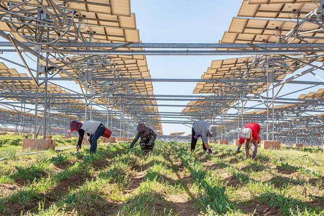 相当于20个三峡大坝外媒已经发现中国悄悄在沙漠里干了件大事(图7)