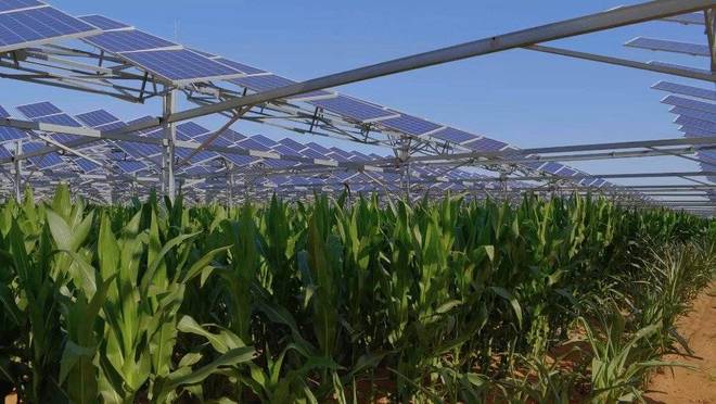 相当于20个三峡大坝外媒已经发现中国悄悄在沙漠里干了件大事(图12)