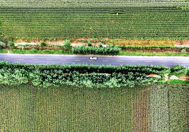 听“十四五”答卷|饭碗端得更牢餐桌更加丰富(图2)