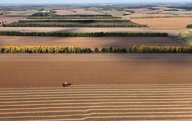 听“十四五”答卷|饭碗端得更牢餐桌更加丰富(图1)