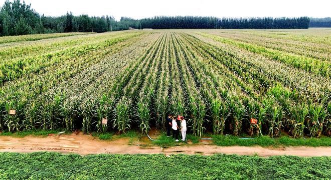 听“十四五”答卷|饭碗端得更牢餐桌更加丰富(图3)