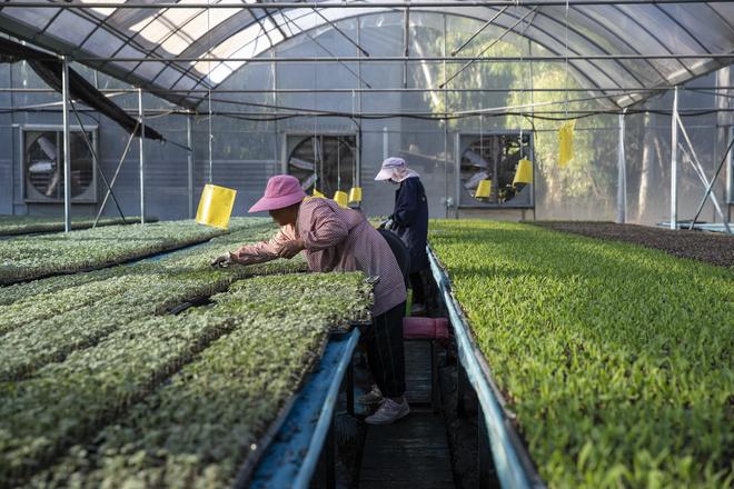 听“十四五”答卷|饭碗端得更牢餐桌更加丰富(图4)