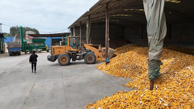 听“十四五”答卷|饭碗端得更牢餐桌更加丰富(图8)