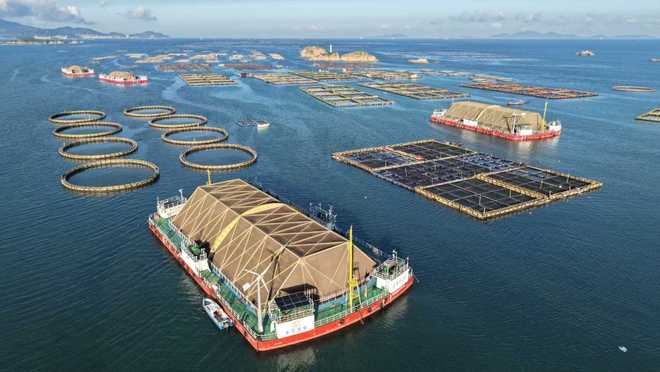 听“十四五”答卷|饭碗端得更牢餐桌更加丰富(图9)