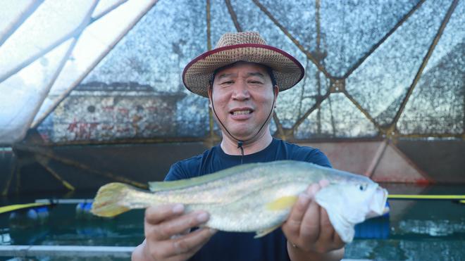 听“十四五”答卷|饭碗端得更牢餐桌更加丰富(图10)