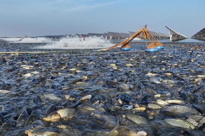 听“十四五”答卷|饭碗端得更牢餐桌更加丰富(图11)