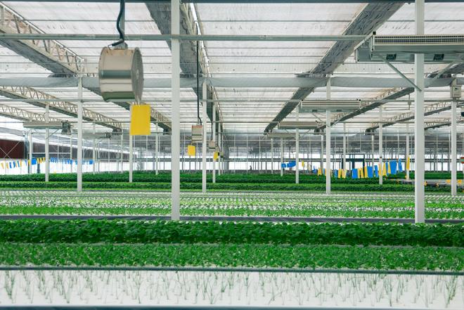 听“十四五”答卷|饭碗端得更牢餐桌更加丰富(图12)