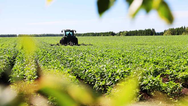 听“十四五”答卷|饭碗端得更牢餐桌更加丰富(图13)