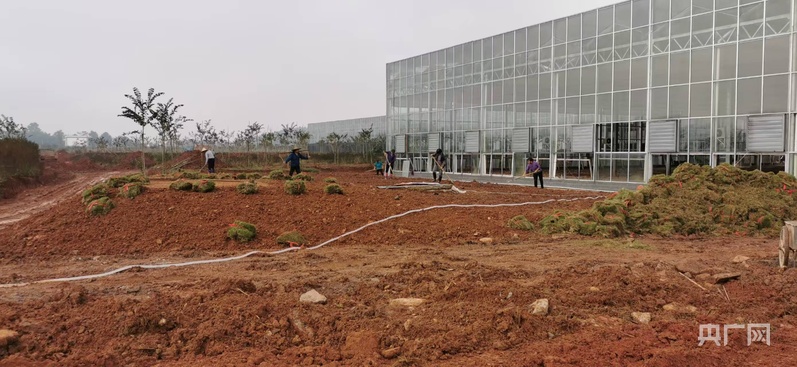 远山的回响｜绿水青山生“金果”江西宜黄“北果南移”的破壁之路(图3)