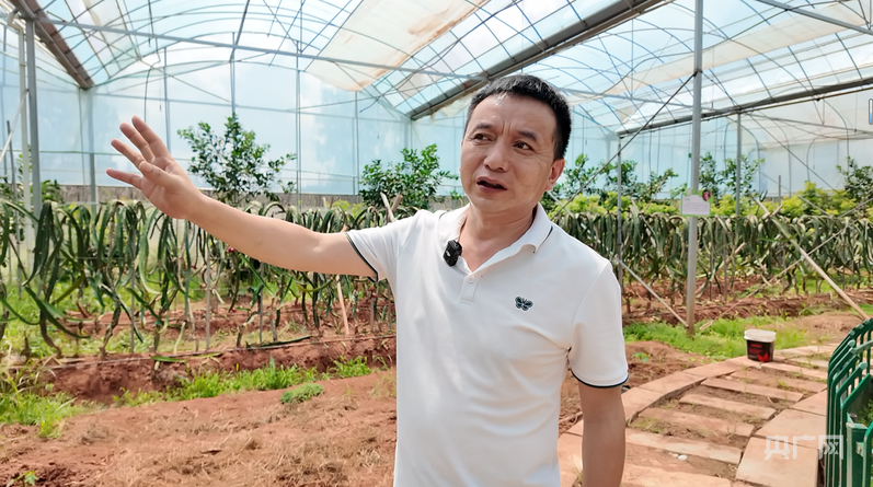 远山的回响｜绿水青山生“金果”江西宜黄“北果南移”的破壁之路(图2)