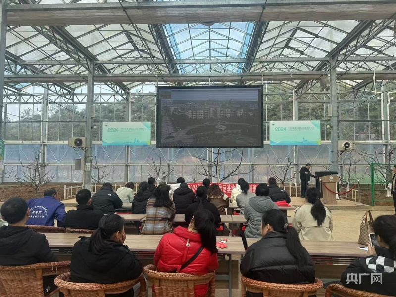 远山的回响｜绿水青山生“金果”江西宜黄“北果南移”的破壁之路(图8)