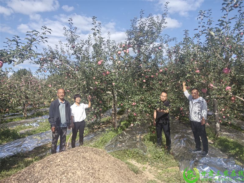 合水县顺利完成2024年绿色食品年检工作(图2)