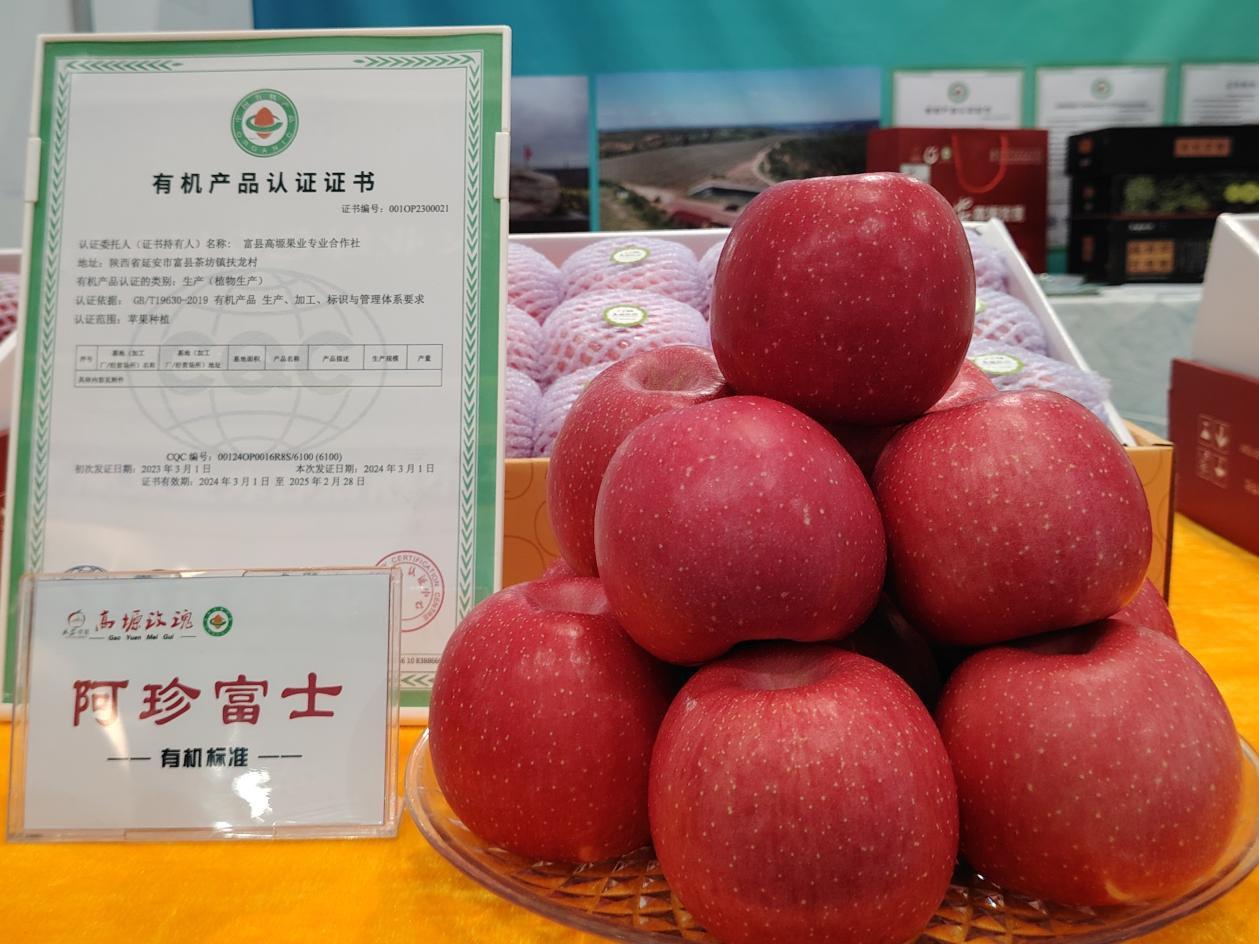 2024“一带一路“有机农业产业发展大会在陕西西安举行(图5)