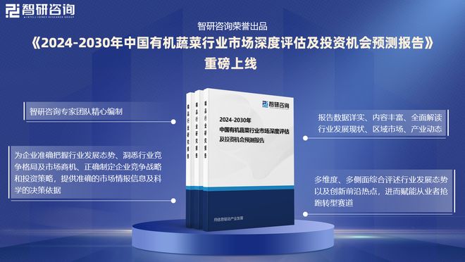 2025版中国有机蔬菜产业发展概况、市场竞争格局分析报告(图1)