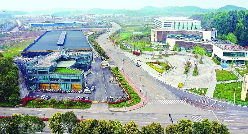 锚定目标再发力全力打赢经济发展翻身仗——西充提升有机农业“含金量”(图2)