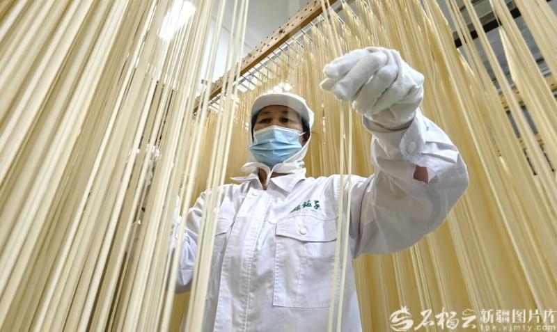 完整准确全面贯彻新时代党的治疆方略丨建设“西部粮仓”(图3)