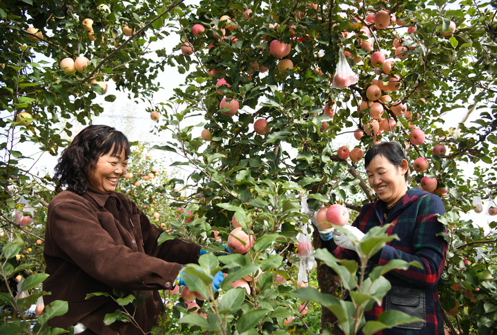 “十四五”亮点丨年收入约18万亿元！乡村产业绘新貌(图1)