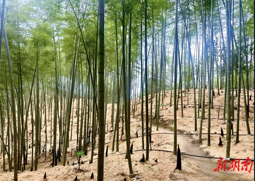 会同企业主连发20条朋友圈招人工(图3)