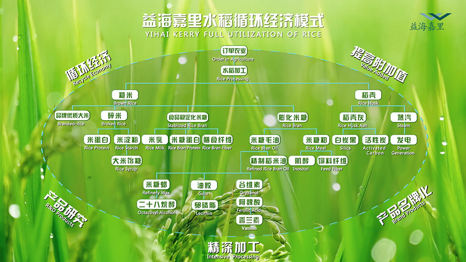 水稻产量第一大省实现水稻“全粒利用”(图3)