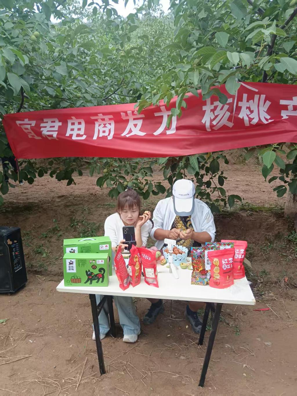 宜君发展核桃特色产业增加群众收入(图3)