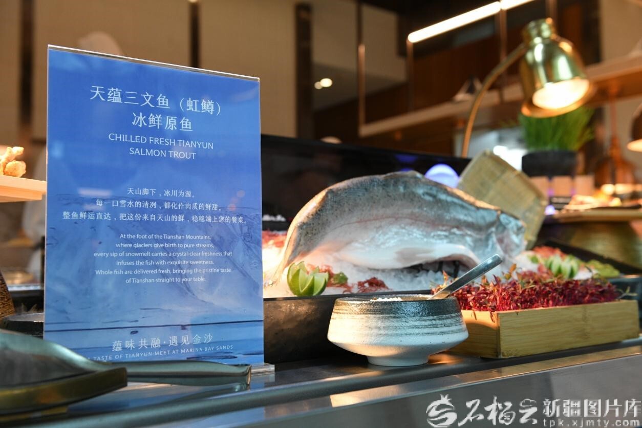 新疆三文鱼登上国际品鉴舞台(图1)