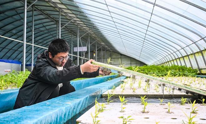 从“一季秋收”到“四季丰收”看设施农业如何打破季节“瓶颈”(图3)