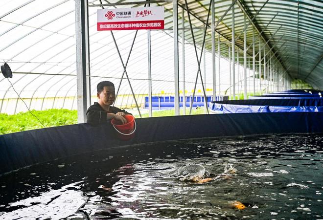 从“一季秋收”到“四季丰收”看设施农业如何打破季节“瓶颈”(图2)