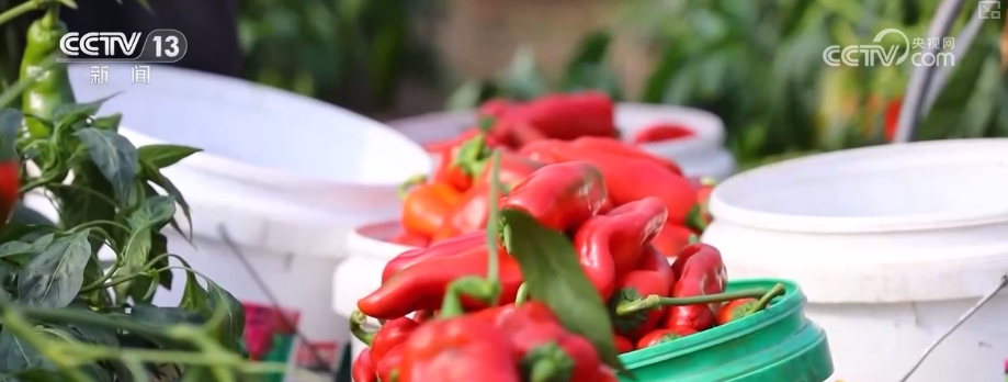 吃、赏、玩同频共振占据“C位”农业新吃法、新玩法助力产业走出“微笑曲线”(图4)