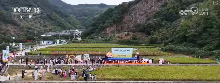 吃、赏、玩同频共振占据“C位”农业新吃法、新玩法助力产业走出“微笑曲线”(图20)