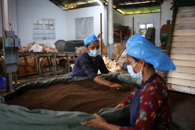 全球茶价要涨？印度“黄金叶”正被烤焦(图7)