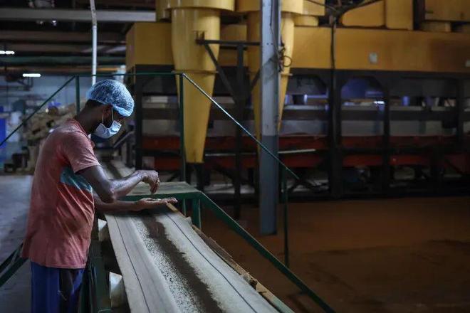 全球茶价要涨？印度“黄金叶”正被烤焦(图8)